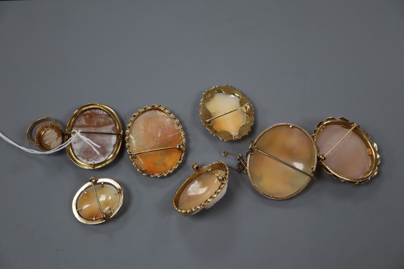 Seven assorted modern yellow metal mounted oval cameo shell brooches, five stamped 9ct and a yellow metal cameo ring.